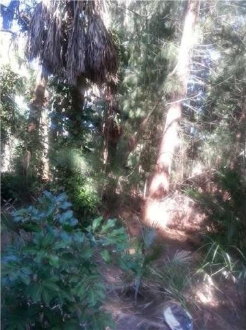 Land For Sale: Midnight Pass Rd.. - 2