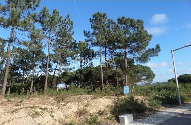 Plot in Obidos Lagoon - 2