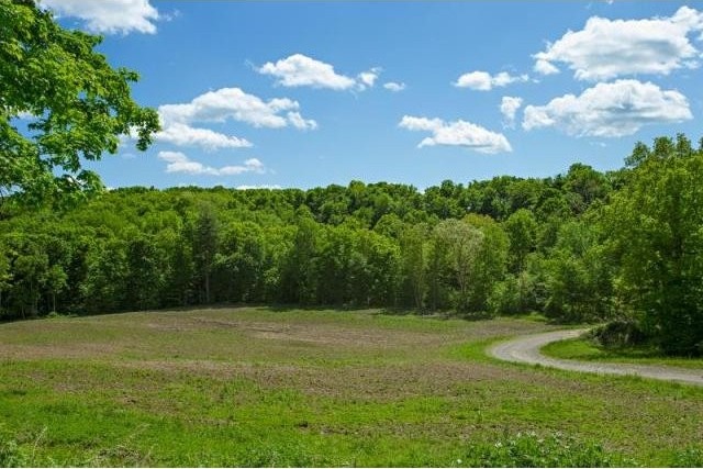 Land For Sale: Gallatin, New York - 2