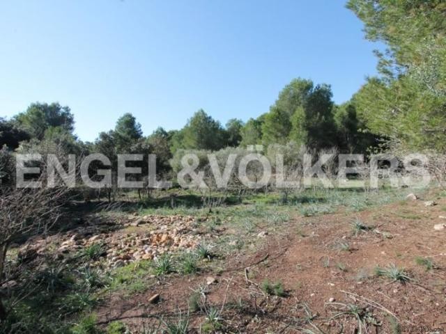 Plot with fantastic views of the.. - 2