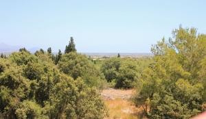 Mallorca, Muro Son Morei, rural plot.. - 2
