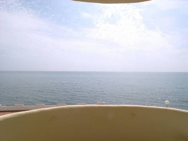 1 Bed Apartment for sale in Calahonda