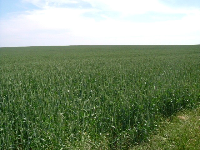 Land in Gorichane, Shabla - 2