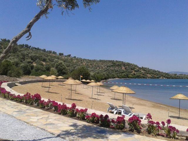 Palm Apartment, Bodrum - 2