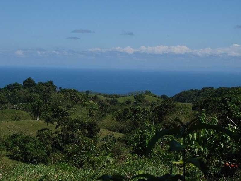 Farmland Between Sosua And Cabarete