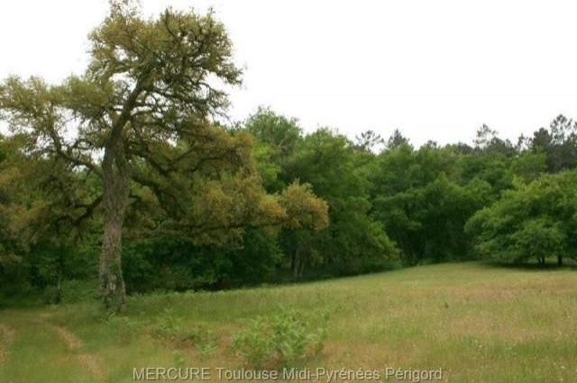 3 bedroom House For Sale: 47170..