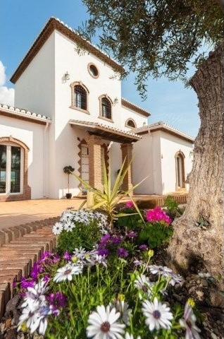 Spacious Villa - 2