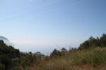 Plot, Alicante (Costa Blanca), Galera..