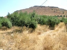 Land In A Peaceful Cretan Location For..