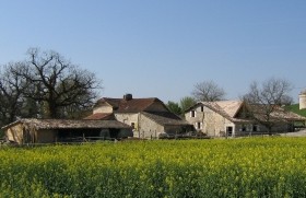 Restored Cottage With Swimming Pool..