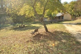 Secluded 3 Bedroom House With 4ha Near..