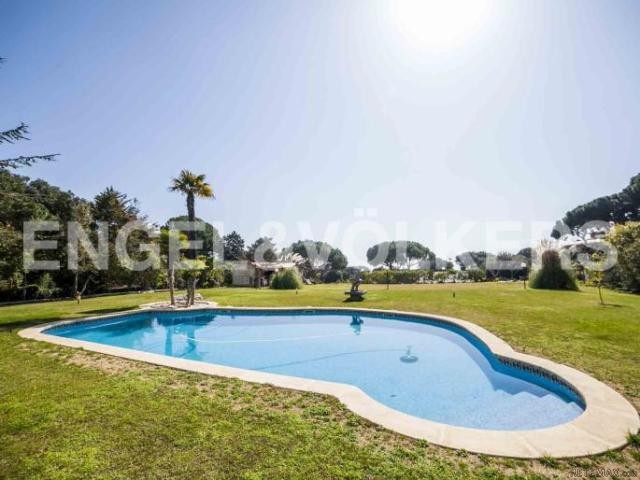 Large flat plot and stables for horses - 2