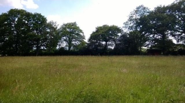 on 5962 M2 nice land, no neighbours.. - 2