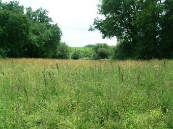 Only 10 Mn From Bergerac Lovely Views..