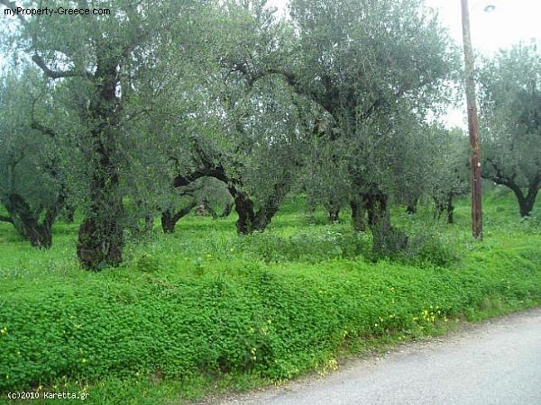 Land - Zakynthos - For Sale