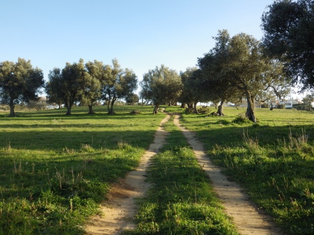- Land / Ruin - Algarve - For Sale - 2