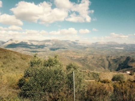 Finca, Colmenar - 2