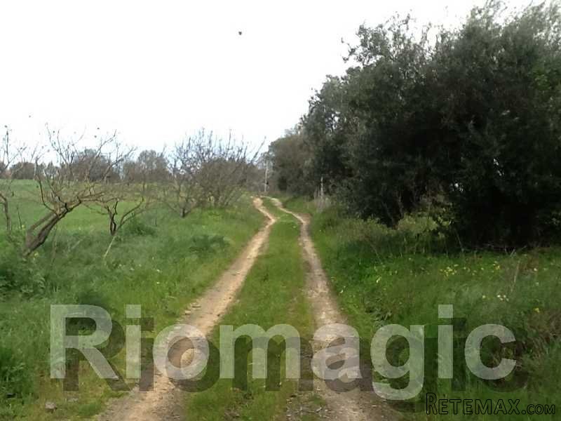 T3 - Herdade - 2