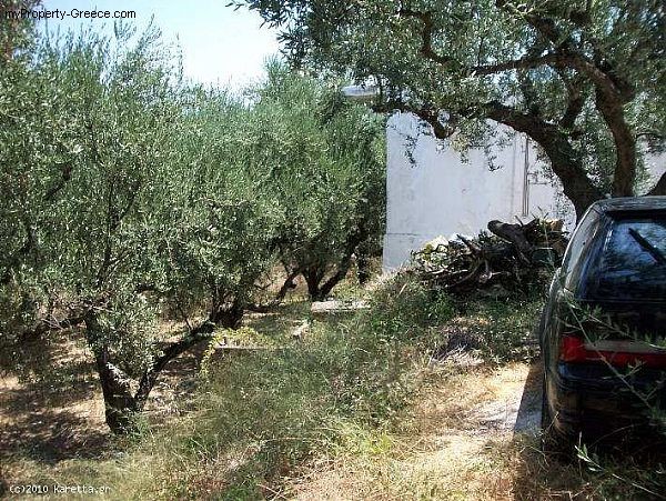 2 Bedrooms - Villa - Zakynthos - For.. - 2