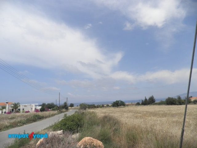 Agricultural Land in Neo Chorio, Pafos