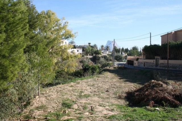 Canuta Baja Plot in Calpe