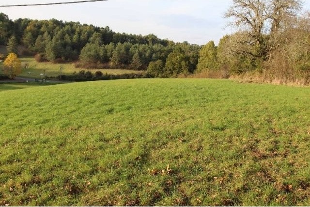 27241 - Vente - Terrain - Vergt - 2