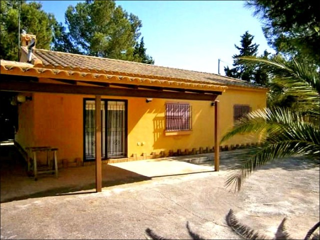 Great Value Finca in the Balsicas Area - 2