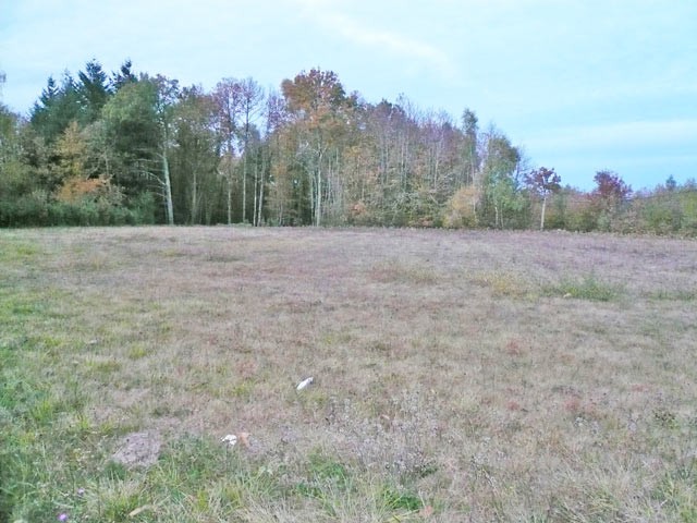 Building Land - 2