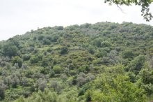 Inland Rethymno - Hillside Land For Sale - 2