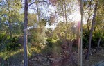 - Land - For Sale