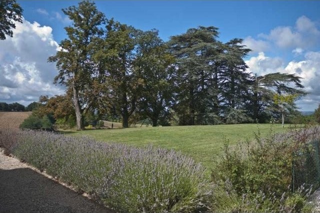 Superb Country Property With Swimming.. - 2