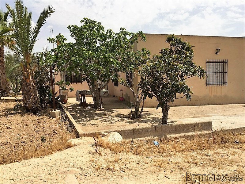 Large 5 Bed Country House For Sale In..