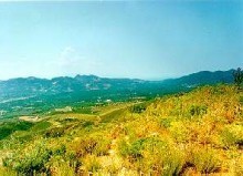 Large Plot On A Hill At Agia
