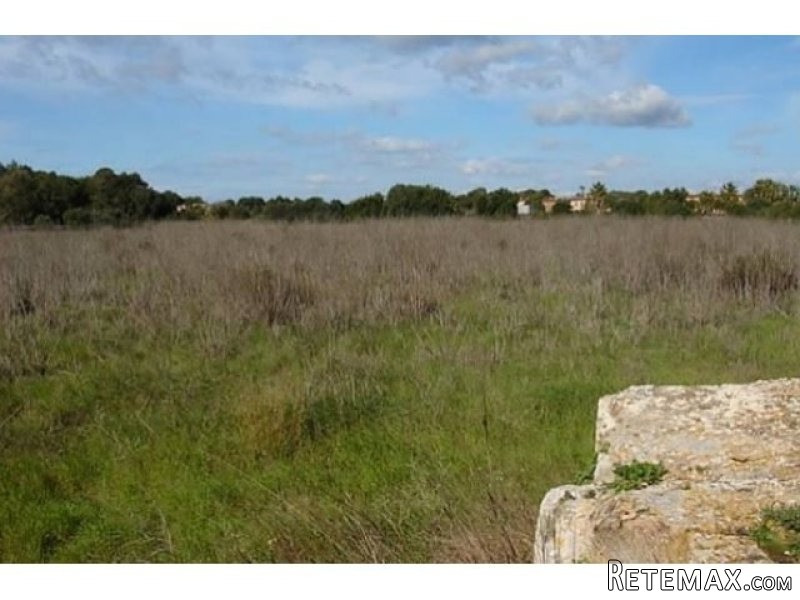 Rustic Plot Of Land Just Opposite To..