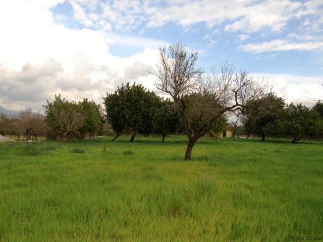 Plot with beautiful views in quiet..