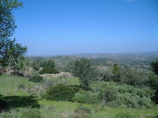Te Koop: Bouwkavel In Centraal Algarve.. - 2