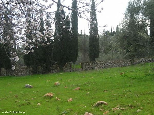 Land - Zakynthos - For Sale