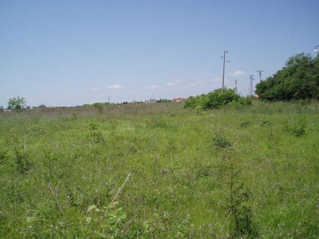 1,000 sqm of Land with Sea View - 2