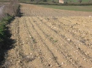 Finca plot with project for 78m2 - 2