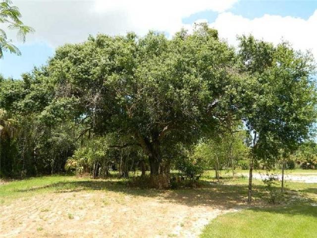 Land For Sale: 1155 27TH AVE SW - 2