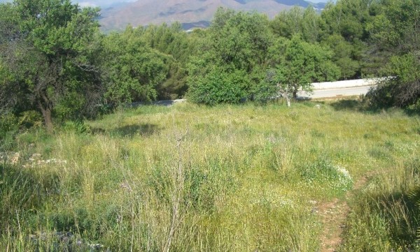 0 bed Land & Commercial in VALTOCADO - 2