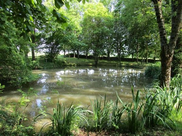 Pretty House With Pond, Garage, Terrace.. - 2
