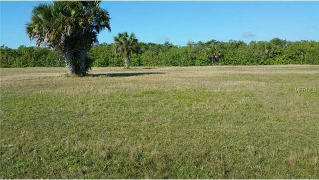 Land For Sale: 17137 Acapulco Rd, Punta.. - 2