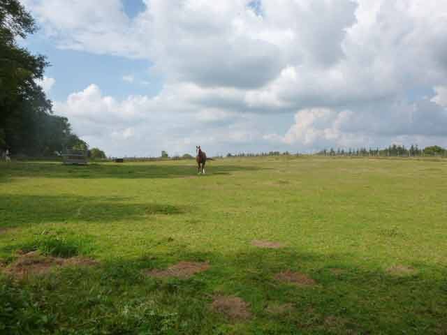 4,075 m2 Building Land In The Natural..