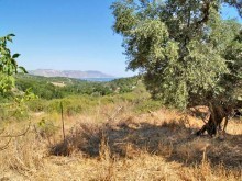 Crete Land Property For Sale