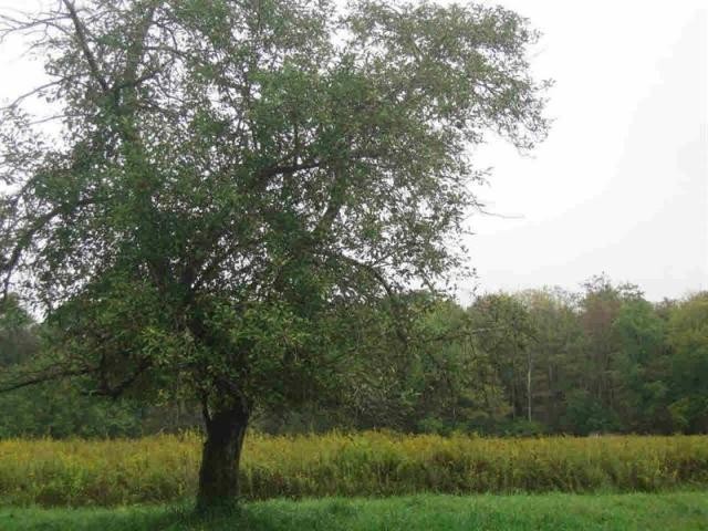 Land For Sale: Beekman, New York