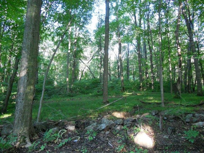 Land For Sale: 1013 Old Quaker Hill.. - 2