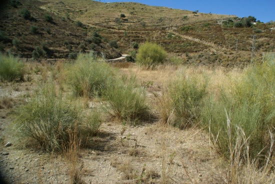 Rural land for Sale in Torrox, Torrox.. - 2