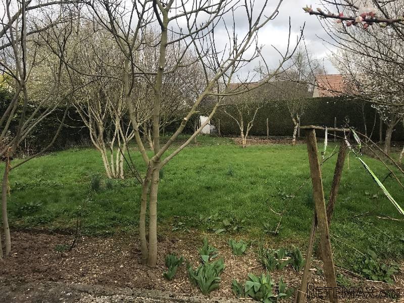 Traditional Detached House, Nice Garden - 2