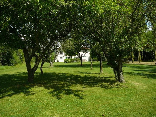 Stunning Secluded House In Amazing Spot..